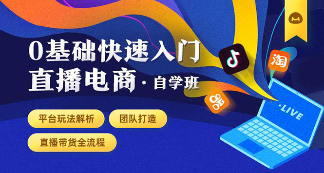 0基础快速入门直播电商课程：直播平台玩法解析-团队打造-带货全流程等环节-红薯资源库