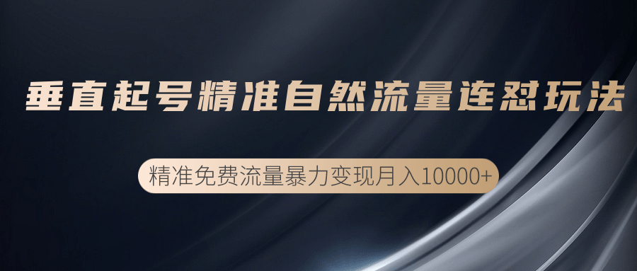 垂直起号精准自然流量连爆玩法，精准引流暴力变现月入10000+-红薯资源库