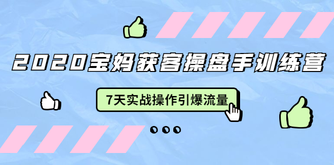 2020宝妈获客操盘手训练营：7天实战操作引爆 母婴、都市、购物宝妈流量-红薯资源库