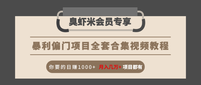 暴利偏门项目全套合集视频教程：你要的日赚1000+月入几万+项目都有-红薯资源库