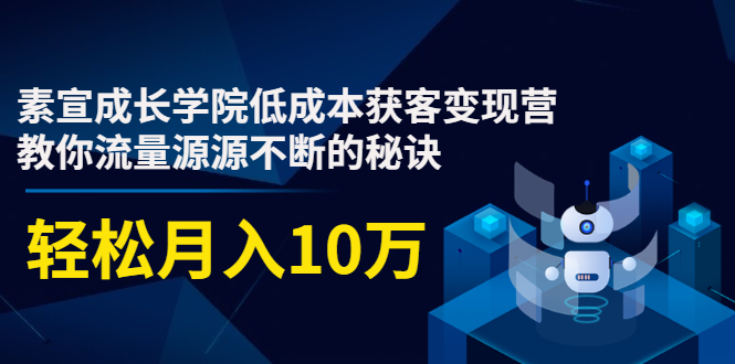 素宣成长学院低成本获客变现营，教你流量源源不断的秘诀，轻松月入10万-红薯资源库