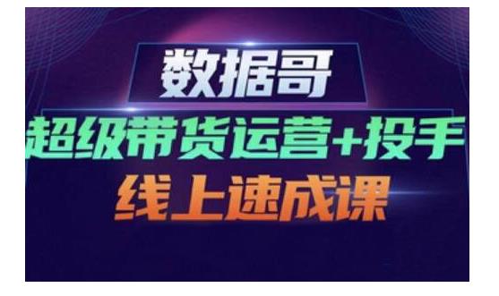 数据哥·超级带货运营+投手线上速成课，快速提升运营和熟悉学会投手技巧-红薯资源库