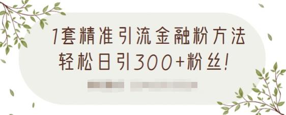 1套精准引流金融粉方法，轻松日引300+粉丝-红薯资源库