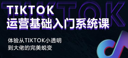 Tiktok实操进阶课程，体验从tiktok小透明到大佬的完美蜕变-红薯资源库