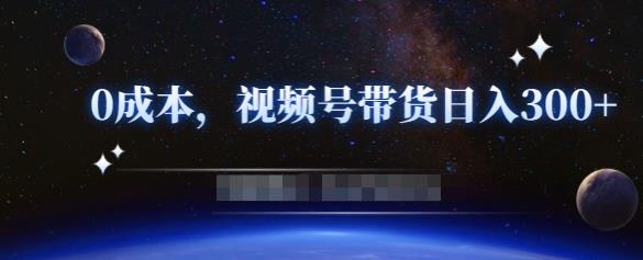 零基础视频号带货赚钱项目，0成本0门槛轻松日入300+【视频教程】-红薯资源库