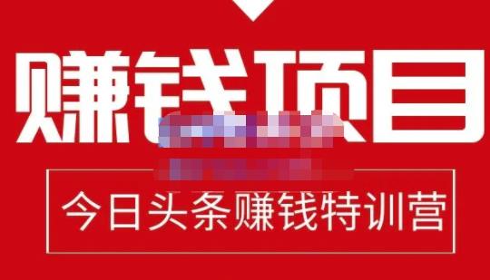 懒人领域·今日头条项目玩法，头条中视频项目，单号收益在50—500可批量-红薯资源库