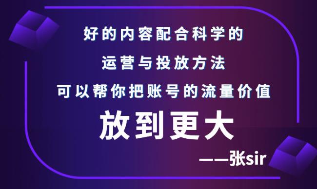 张sir账号流量增长课，告别海王流量，让你的流量更精准-红薯资源库