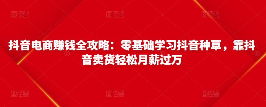 抖音电商赚钱全攻略：零基础学习抖音种草，靠抖音卖货轻松月薪过万-红薯资源库