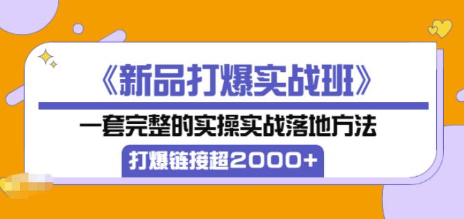 凌童《新品打爆实战班》,一套完整的实操实战落地方法，打爆链接超2000+（28节课)-红薯资源库