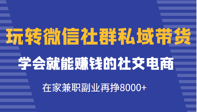 玩转微信社群私域带货，学会就能赚钱的社交电商，在家兼职副业再挣8000+-红薯资源库