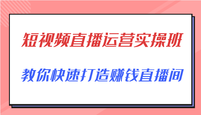 短视频直播运营实操班，直播带货精细化运营实操，教你快速打造赚钱直播间-红薯资源库