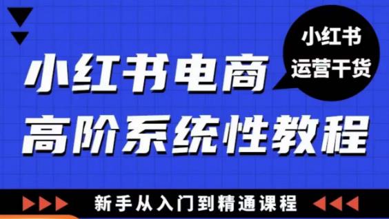 小红书电商高阶系统教程，新手从入门到精通系统课-红薯资源库