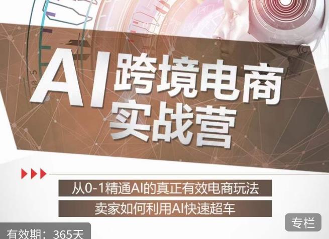 白龙老师·AI跨境电商实战营：从0-1精通Al的真正有效电商玩法，卖家如何利用Al快速超车-红薯资源库