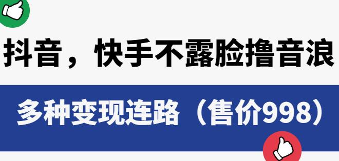 抖音快手不露脸撸音浪项目，多种变现连路（售价998）-红薯资源库