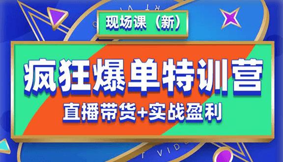 抖音短视频疯狂爆单特训营现场课（新）直播带货+实战案例-红薯资源库