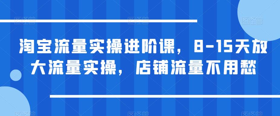 淘宝流量实操进阶课，8-15天放大流量实操，店铺流量不用愁-红薯资源库