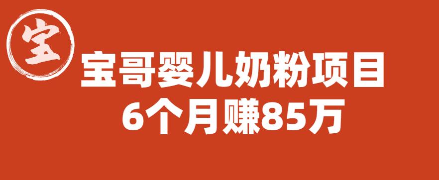 宝哥婴儿奶粉项目，6个月赚85w【图文非视频】【揭秘】-红薯资源库