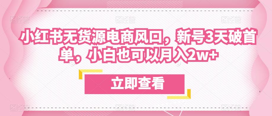 众狼电商余文小红书无货源电商风口，新号3天破首单，小白也可以月入2w+-红薯资源库