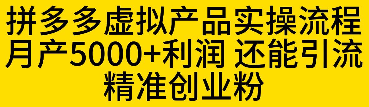 拼多多虚拟产品实操流程，月产5000+利润，还能引流精准创业粉【揭秘】-红薯资源库