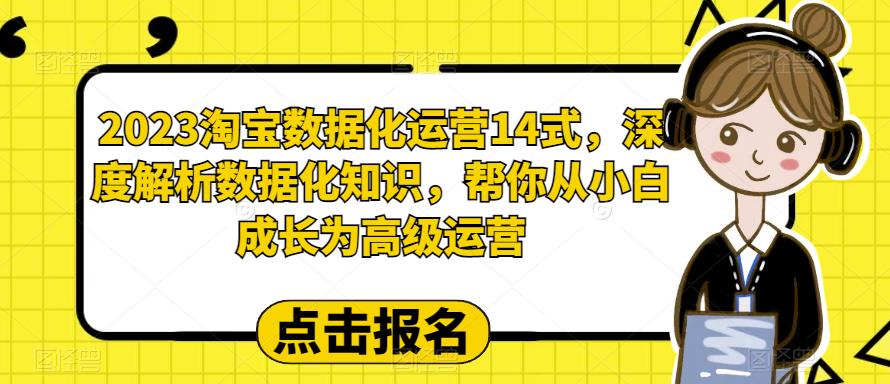 2023淘宝数据化运营14式，深度解析数据化知识，帮你从小白成长为高级运营-红薯资源库