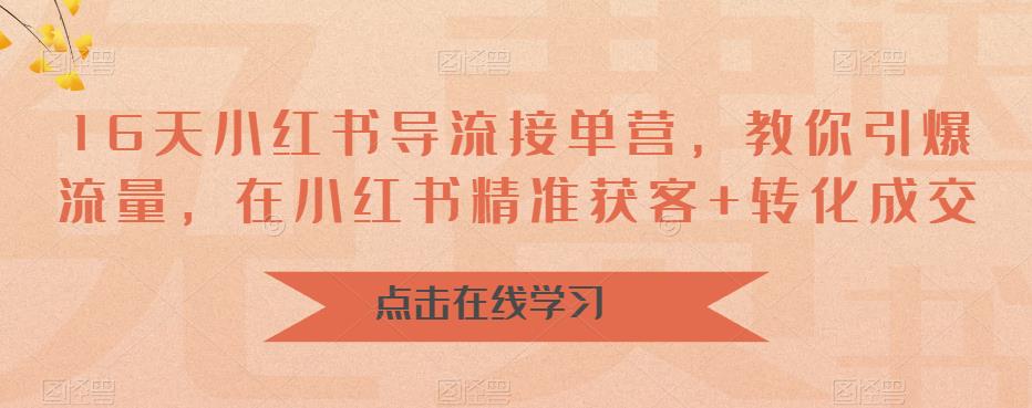 16天小红书导流接单营，教你引爆流量，在小红书精准获客+转化成交-红薯资源库