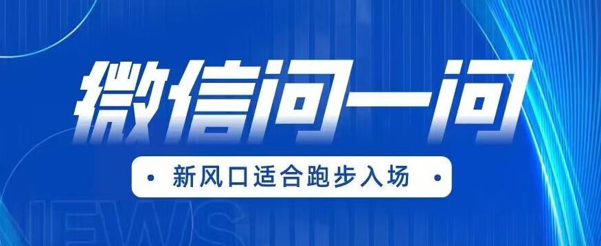 全网首发微信问一问新风口变现项目（价值1999元）【揭秘】-红薯资源库