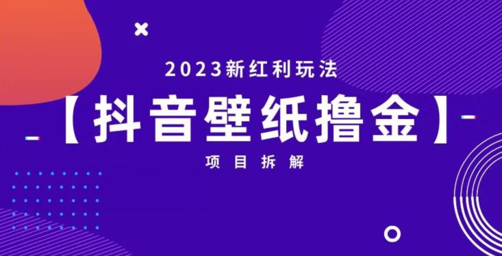 抖音壁纸小程序创作者撸金项目，2023新红利玩法【项目拆解】-红薯资源库