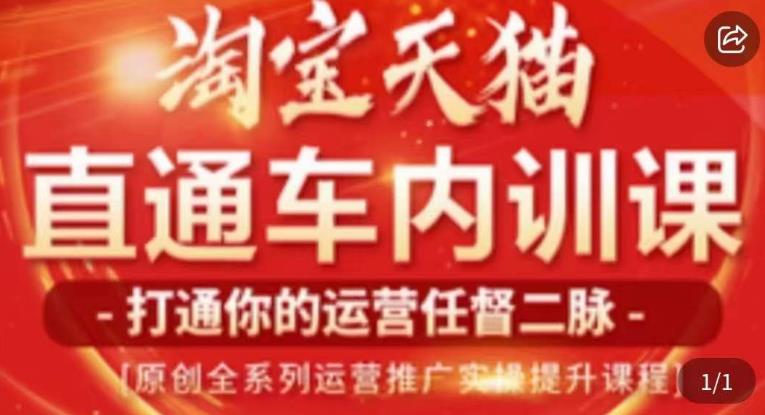 天问电商·2023淘宝天猫直通车内训课，零基础学起直通车运营实操课程-红薯资源库