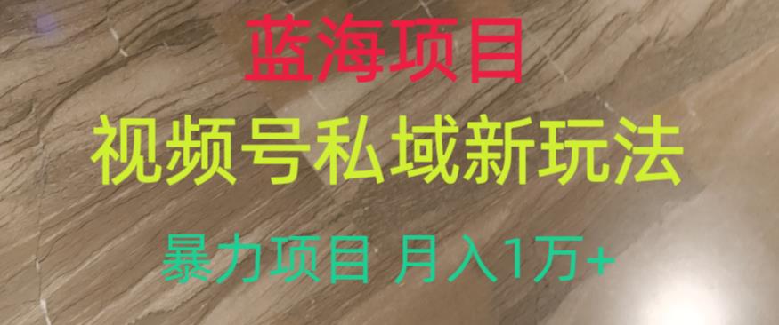 蓝海项目，视频号私域新玩法，暴力项目月入1万+【揭秘】-红薯资源库