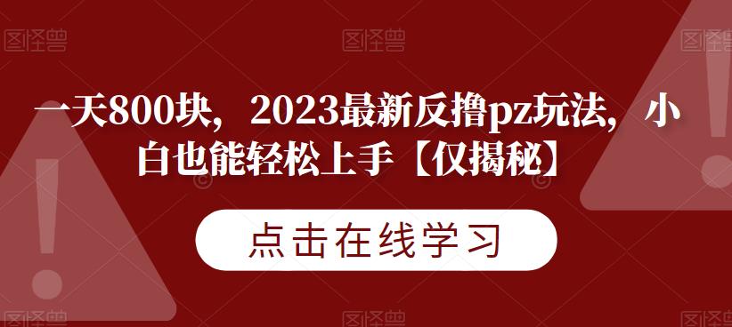 一天800块，2023最新反撸pz玩法，小白也能轻松上手【仅揭秘】-红薯资源库