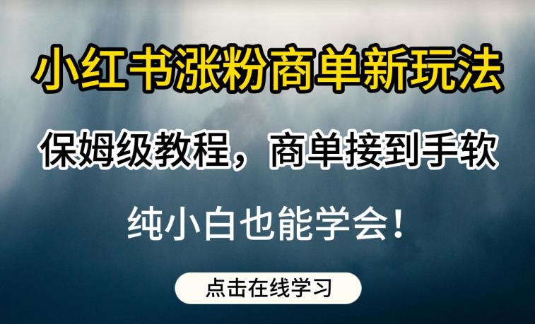 小红书涨粉商单新玩法，保姆级教程，商单接到手软，纯小白也能学会【揭秘】-红薯资源库