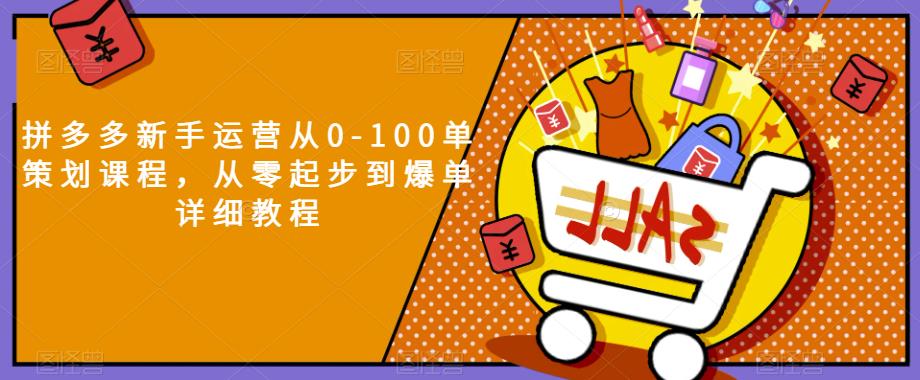 拼多多新手运营从0-100单策划课程，从零起步到爆单详细教程-红薯资源库