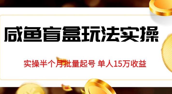 独家首发咸鱼盲盒玩法实操，半个月批量起号单人15万收益【揭秘】-红薯资源库