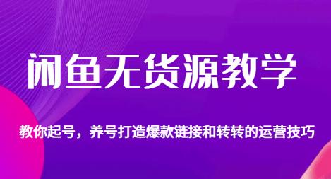 闲鱼无货源教学，教你起号，养号打造爆款链接以及转转的运营技巧-红薯资源库