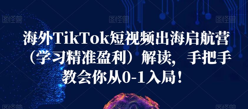 海外TikTok短视频出海启航营（学习精准盈利）解读，手把手教会你从0-1入局！-红薯资源库