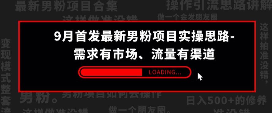 9月首发最新男粉项目实操思路-需求有市场，流量有渠道【揭秘】-红薯资源库