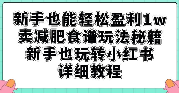 新手也能轻松盈利1w，卖减肥食谱玩法秘籍，新手也玩转小红书详细教程【揭秘】-红薯资源库