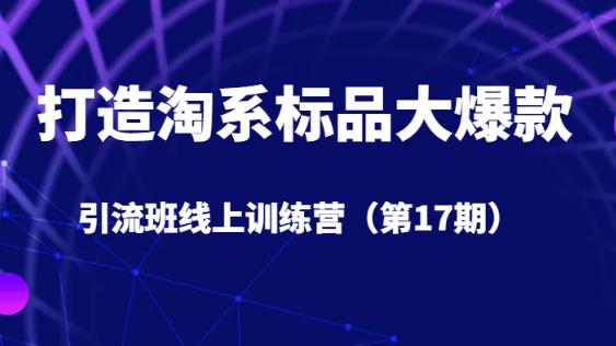 打造淘系标品大爆款引流班线上训练营（第17期）5天直播授课-红薯资源库