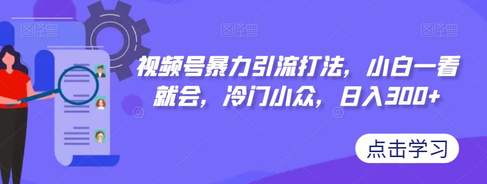 视频号暴力引流打法，小白一看就会，冷门小众，日入300+【揭秘】-红薯资源库