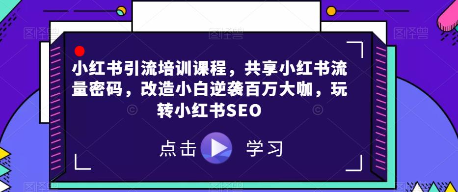 小红书引流培训课程，共享小红书流量密码，改造小白逆袭百万大咖，玩转小红书SEO-红薯资源库