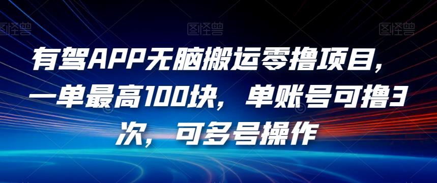 有驾APP无脑搬运零撸项目，一单最高100块，单账号可撸3次，可多号操作【揭秘】-红薯资源库