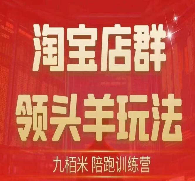 九栢米-淘宝店群领头羊玩法，教你整个淘宝店群领头羊玩法以及精细化/终极蓝海/尾销等内容-红薯资源库