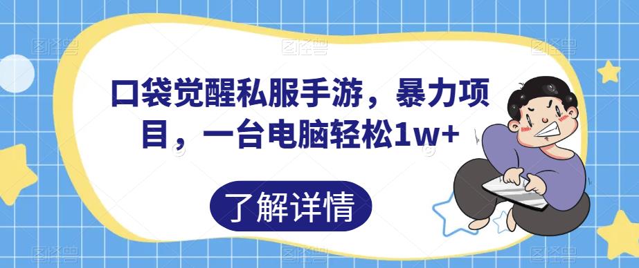 口袋觉醒私服手游，暴力项目，一台电脑轻松1w+【揭秘】-红薯资源库