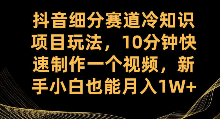 抖音细分赛道冷知识项目玩法，10分钟快速制作一个视频，新手小白也能月入1W+【揭秘】-红薯资源库