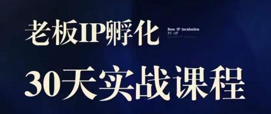 诸葛·2023老板IP实战课，实体同城引流获客，IP孵化必听-红薯资源库