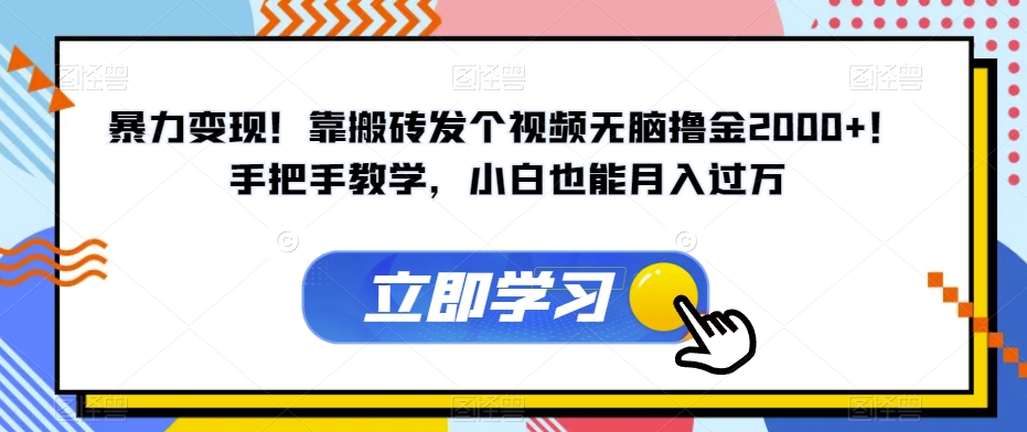 暴力变现！靠搬砖发个视频无脑撸金2000+！手把手教学，小白也能月入过万【揭秘】-红薯资源库