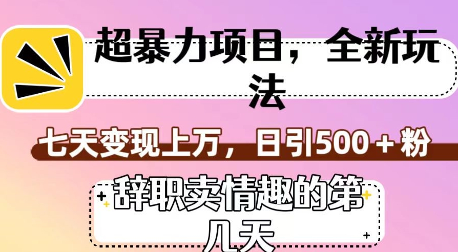 超暴利项目，全新玩法（辞职卖情趣的第几天），七天变现上万，日引500+粉【揭秘】-红薯资源库