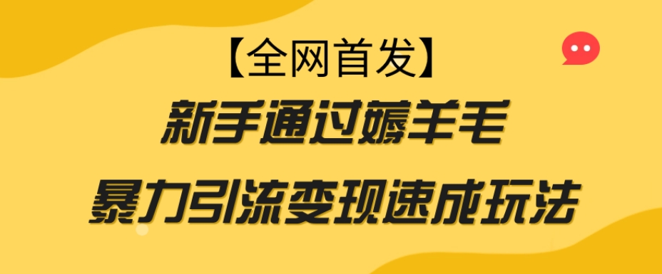 【全网首发】新手通过薅羊毛暴力引流变现速成玩法-红薯资源库