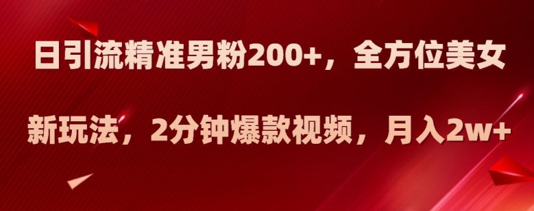 日引流精准男粉200+，全方位美女新玩法，2分钟爆款视频，月入2w+【揭秘】-红薯资源库