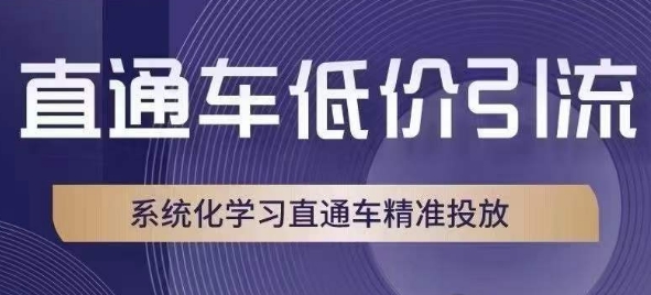 直通车低价引流课，系统化学习直通车精准投放-红薯资源库